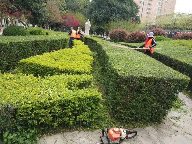 地面绿化工程量化清单