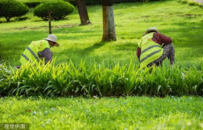 现代农业园林景观设计方案