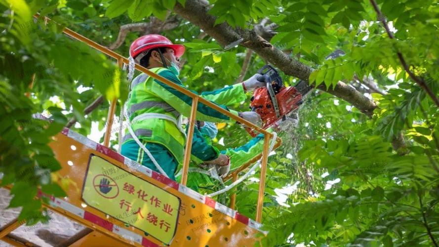 10公里的绿化工程报价